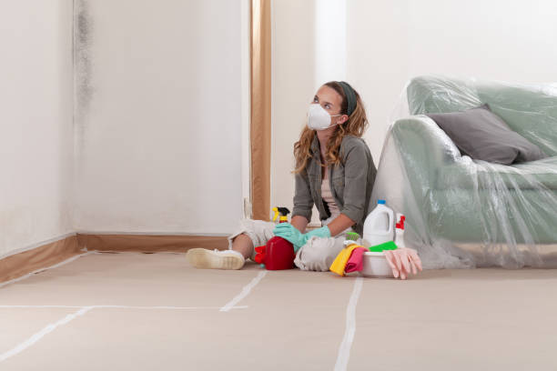 Reliable Mold Removal contractor in Moshannon, PA by WQB Mold Removal